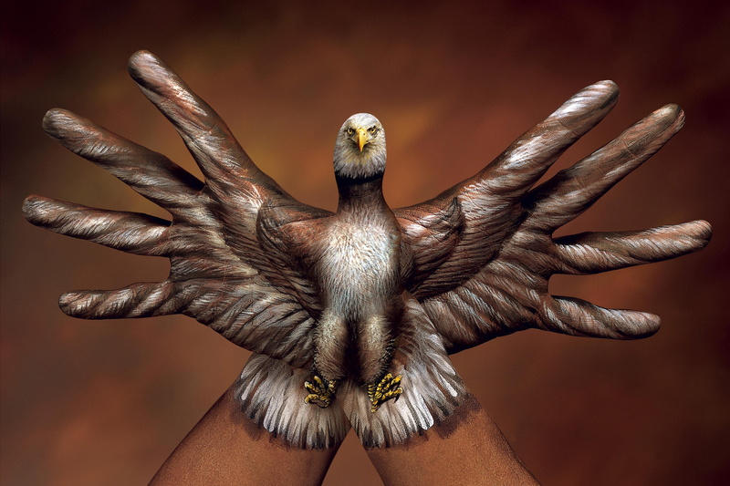 illustration, eagle, human body part, hands, indoors, body part, colored background, creative, human limb, hand, Italian, Guido Daniele, finger