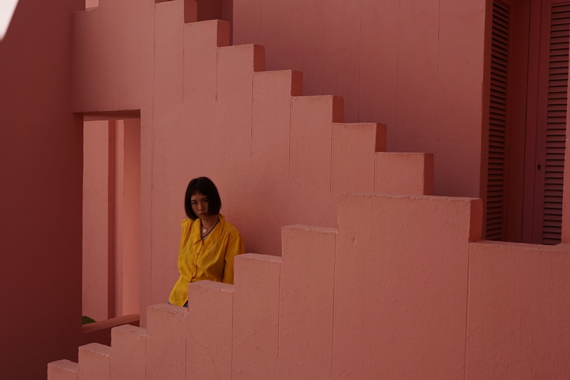 large group of objects, woman, lady, female, adult, box, girl, plant, human, apparel, 4K, looking, staircase, blossom, front view, wearing, young women