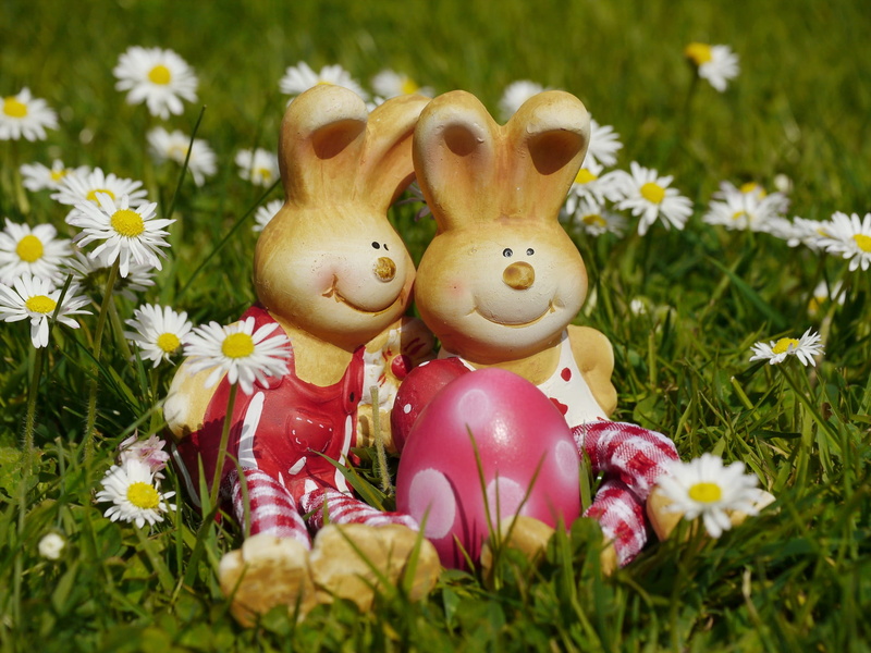 easter greeting, celebration, figure, grass, signs of spring, daisy, no people, egg, wild daisy, spring, nature, plant, flower meadow, freshness, flowering plant