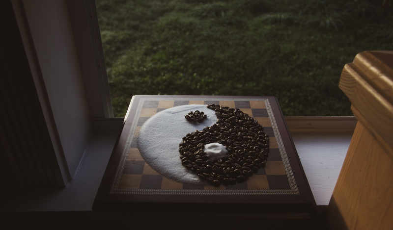 yang, symbolic, religion, domestic animals, dark, light, yin yang, plant, glass - material, no people, table, spirituality, peace, animal wildlife, day