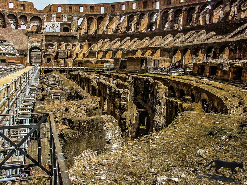 travel, roman, forum, arch bridge, 1080P, old, famous Place, floor, old Ruin, vacation, rome - Italy, italy, travel destinations, kitten, famous, coliseum