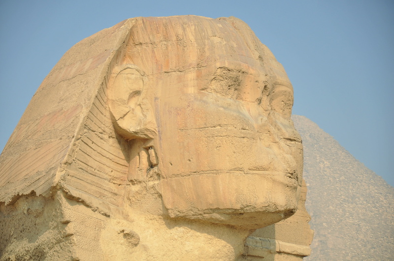 spinx, ruined, craft, camels, built structure, the past, day, ancient, temple, art and craft, sphinx, giza, ancient civilization, cairo, place of worship