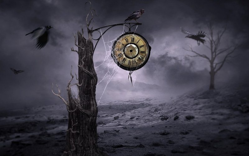 watch, sign, nature, animal wildlife, brown, clock, fear, warning sign, digital, tree, no People, bird, night, storm, moon, trunk, wall, animal, digital composite