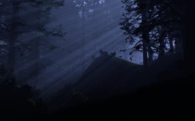 720P, night, watch