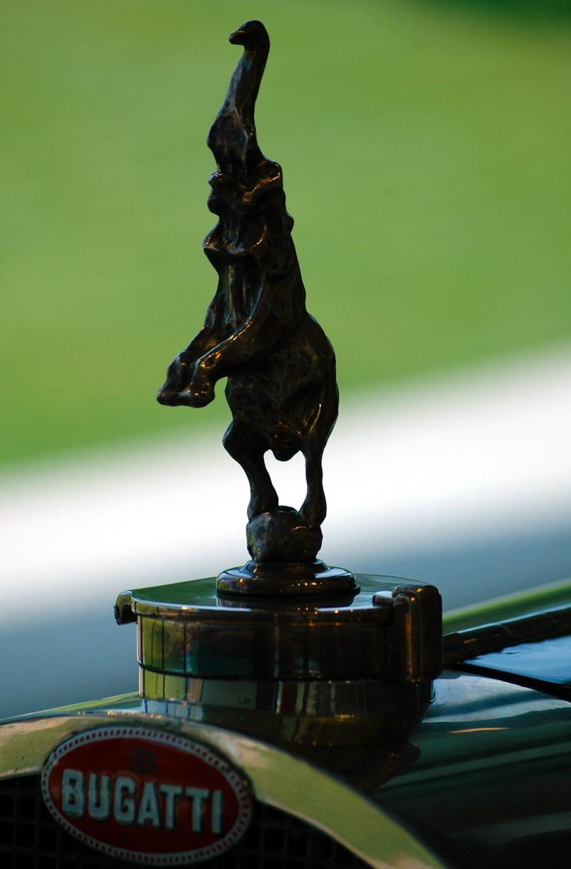 water, mammal, metal, male likeness, valuable, fast, no people, cool figure, luxury car, rearing, rembrandt bugatti, close-up, exclusivity, bugatti, bugatti royale
