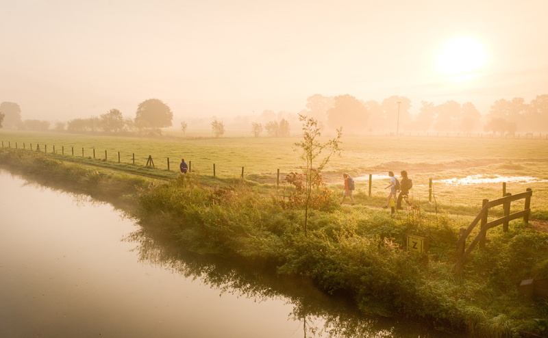 grass, land, Europe, Utrecht, Netherlands, tree, landscape, incredibly, Hiking, Nice, Mist, Foggy, beauty in nature, sky, environment, agriculture, Nature
