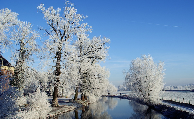 tranquility, 4K, Crooked Rhine, Europe, Frosty, Travel, Landscape, Kromme Rijn, outdoors, Reflection, Frozen, Heaven On Earth, scenics - nature, Seasons