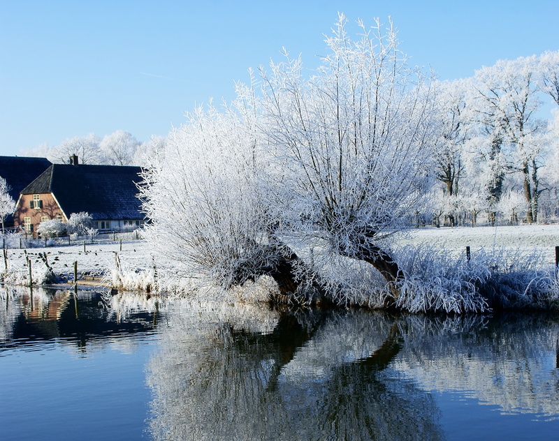along, Rhijnauwen, Beautiful, River, Europe, Sunshine, Landscape, rijn, Kromme Rijn, tree, Photography, outdoors, architecture, Scene, Travel, Reflection