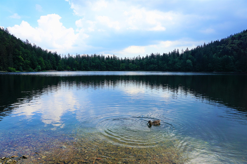 beauty in nature, outdoors, lake, reflection, hike, no people, fun, away, alaska, mountain, plant, resort, sky, tree, floating on water, germany, scenics - nature