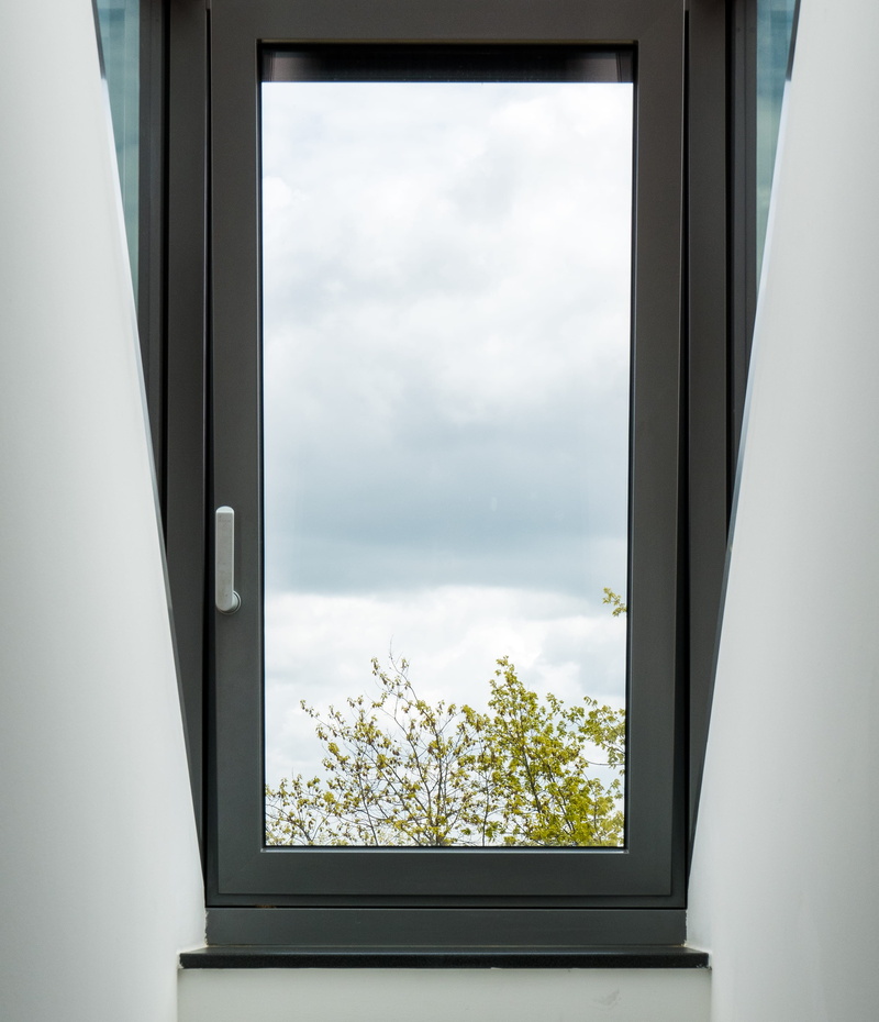 built structure, housing, growth, skylight, cloud, cloud - sky, tree, cool, indoors, beauty in nature, chair, glass - material, window sill, window, germany