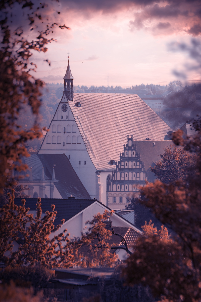 built structure, trees, plant, middle ages, city, silver mining, outdoors, downtown, belief, freiberg, tower, old town, spire, religion, architecture, facade