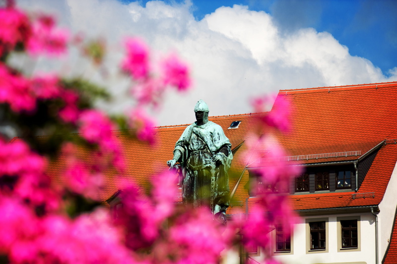 backlighting, day, pink color, middle ages, 5K, place of worship, facade, architecture, sun, tourism, nature, built structure, belief, cloud - sky, freiberg