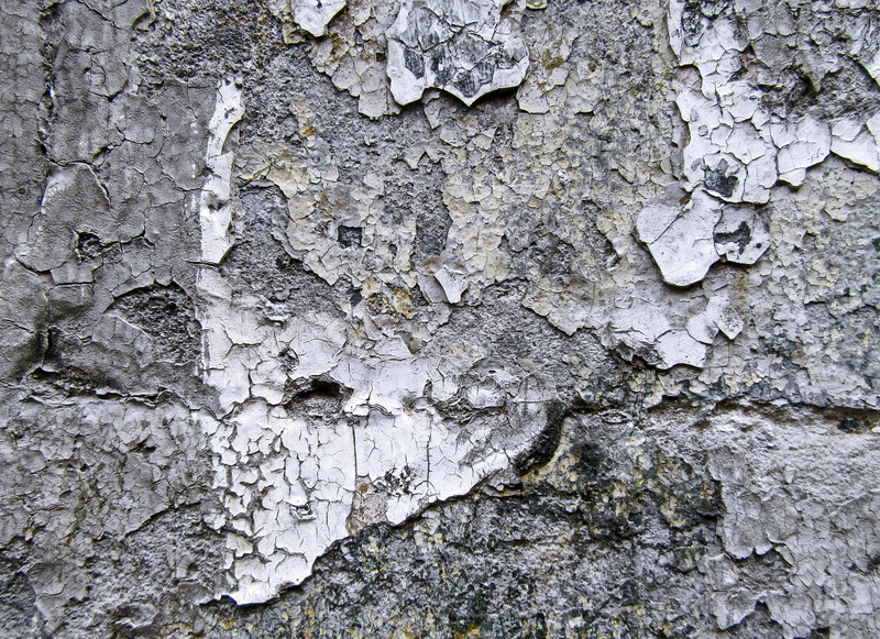 asphalt, texture, wall - building feature, no people, abies, nature, word, rough, wall, insect, pattern, animal, backgrounds, lichen, limestone, architecture