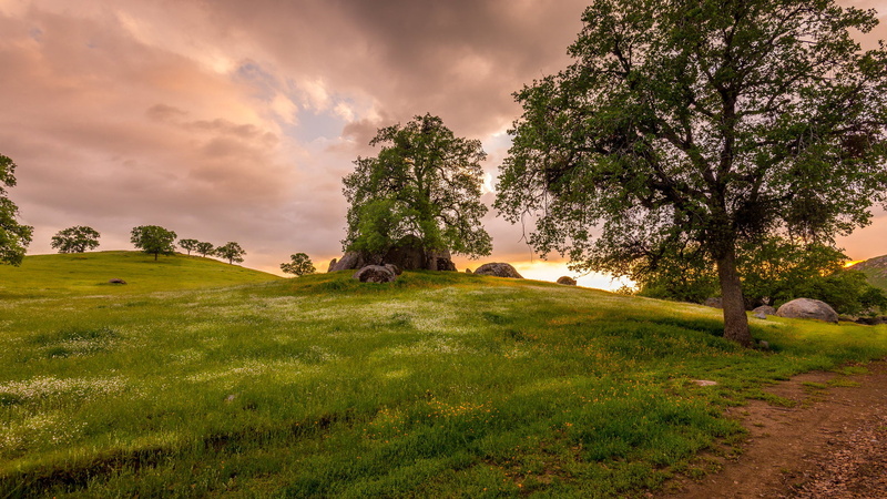 clouds, rocks, oak trees, 1080P, wildflowers, hills, landscape, grass, sky, nature, sunset