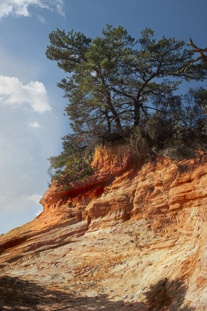tranquility, sky, non-urban scene, 2K, tree, rock - object, oak, tranquil scene, landscape, day, outdoors, beauty in nature, bald, cloud - sky, trees