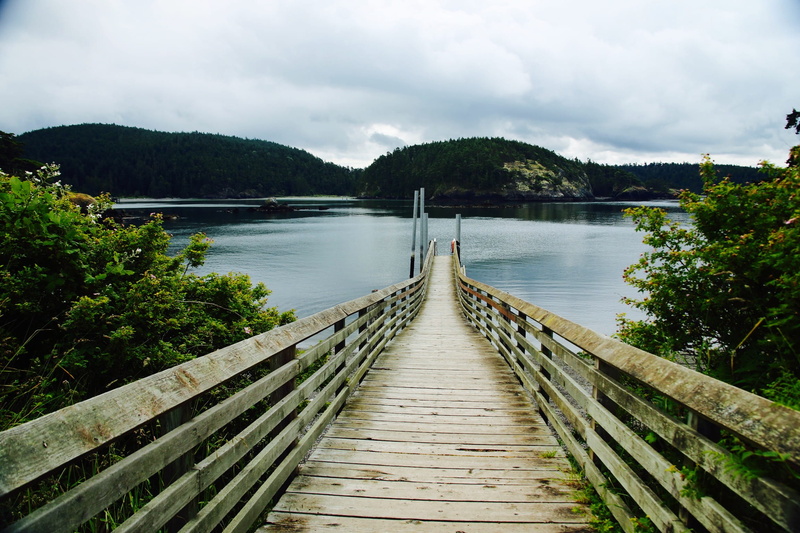 horizon, nature, scenics - nature, tree, connection, the way forward, state park, united states, outdoors, park, no people, bay, bowman, ocean, deception pass state park