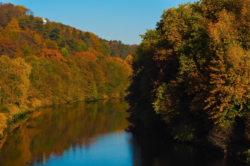 leaf, colorful, sky, farbenspiel, 4K, outdoors, fall leaves, emerge, atmosphere, bright, scenics - nature, time of year, tree, golden october, fall foliage