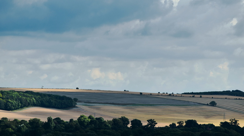 architecture, plant, tree, landscape, connection, building exterior, beauty in nature, no people, cloud - sky, wiltshire, environment, countryside, tranquility