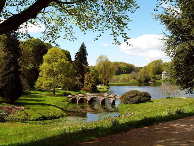 connection, green color, tranquil scene, England, built structure, nature, no people, growth, day, pond, lake, tranquility, architecture, people, 4K, outdoors