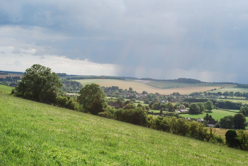 united, rural, beauty in nature, tree, green, grass, non-urban scene, scenics - nature, countryside, outdoor, rain, outdoors, uk, english, plant, tranquility