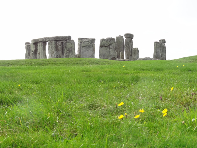 tranquil scene, plant, old ruin, growth, outdoors, flower, memorial, wiltshire, famous Place, field, land, built structure, sky, day, architecture, stone monument