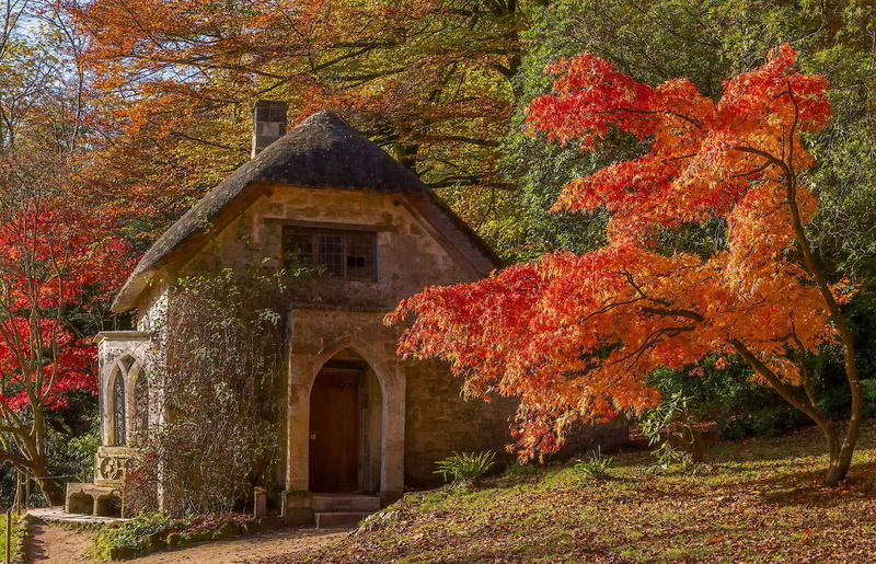 building exterior, Park, gray, 1080P, growth, house, England, maple, built structure, architecture, Wiltshire, non-urban scene, no people, nature, orange color