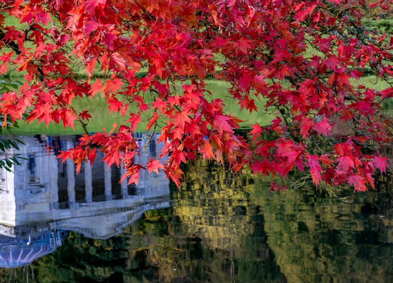 the landscape Park, Stourhead Garden, reflection, lake, autumn, leaves, maple, branches, 1080P, Wiltshire, England, Stored