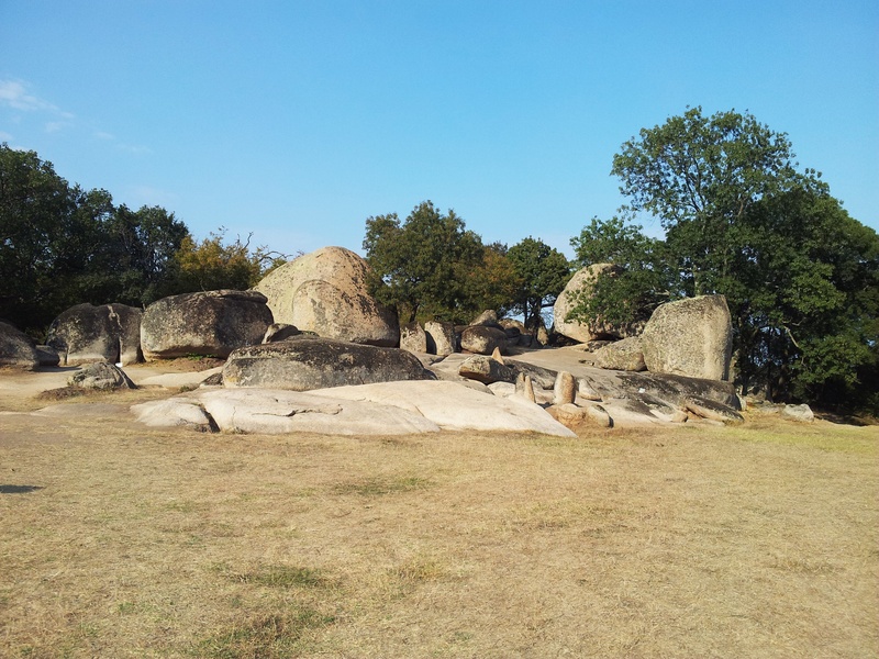 rocks, day, ancient civilization, monuments, monument, tree, sunlight, outside, bulgaria, land, no people, rock, 2K, historic, rock - object, outdoors