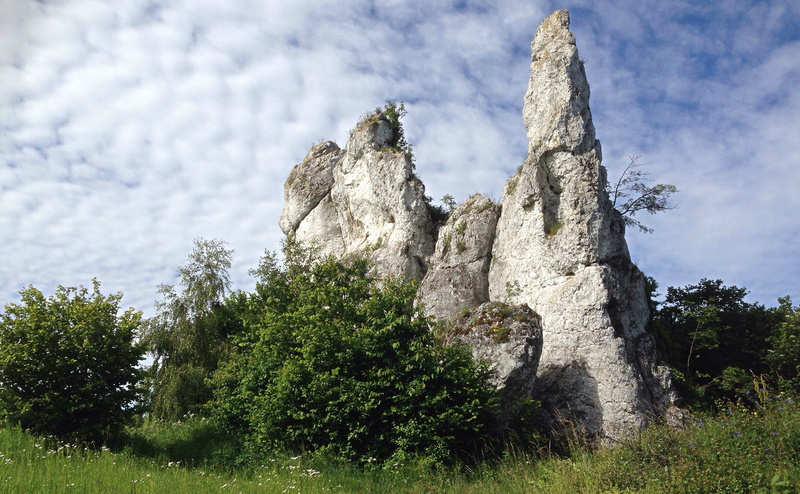 no People, sky, tourism, stone - Object, ancient, pinnacle, rock, day, blue, polish jurassic highland, scenics - nature, coniferous tree, 2K, tree, famous Place