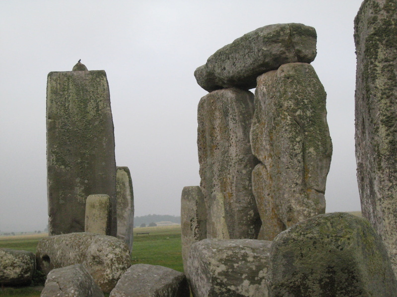 rock, day, history, tranquility, england, ancient civilization, plant, nature, archaeology, stone Material, ancient, cultures, stone circle, rock - object