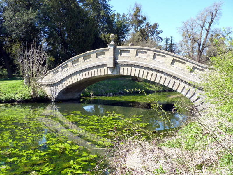day, tree, central Park, growth, reflection, no people, river, bas-relief Panels, footbridge, connection, nature, concrete, architecture, floating on water