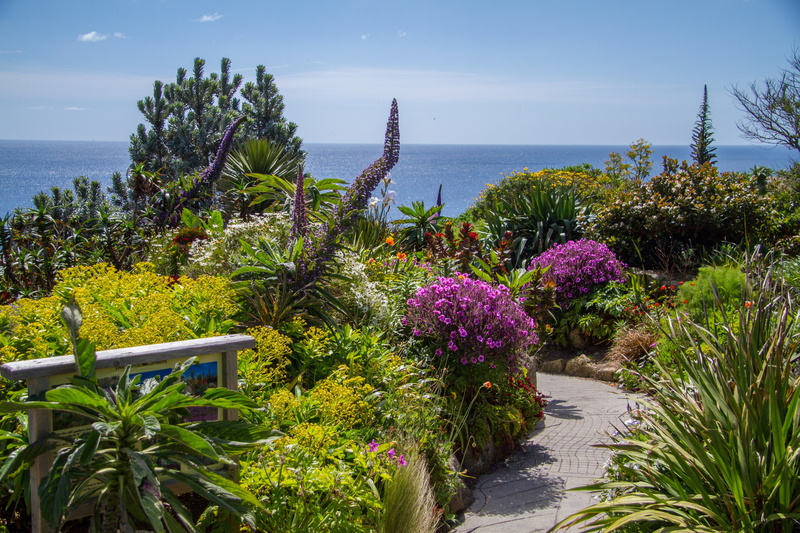 ornamental garden, horizon over water, sunlight, plant, sky, 5K, growth, nature, no people, flowering plant, day, scenics - nature, beauty in nature, tranquility