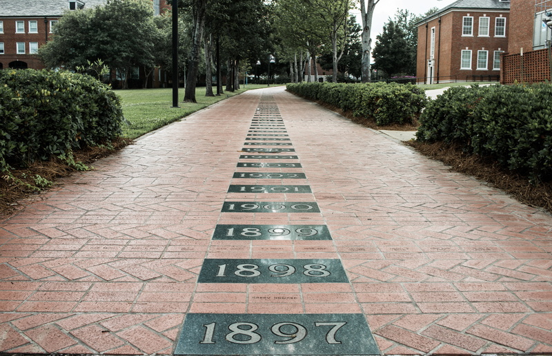 5K, paving stone, brick, street, hedge, no people, tree, outdoor, day, growth, outdoors, the way forward, cobblestone, path, neighborhood, louisiana tech