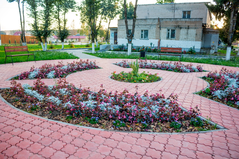 pedestrian, flowering plant, flower, architecture, ornamental garden, krivskoe, garden, tile, day, residential district, no people, plant, tree, flowerbed