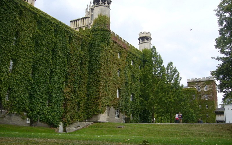 famous Place, town, low angle view, day, building Exterior, tree, castle, grass, travel, medieval, uK, english Culture, buildings, tourism, tower, cultures