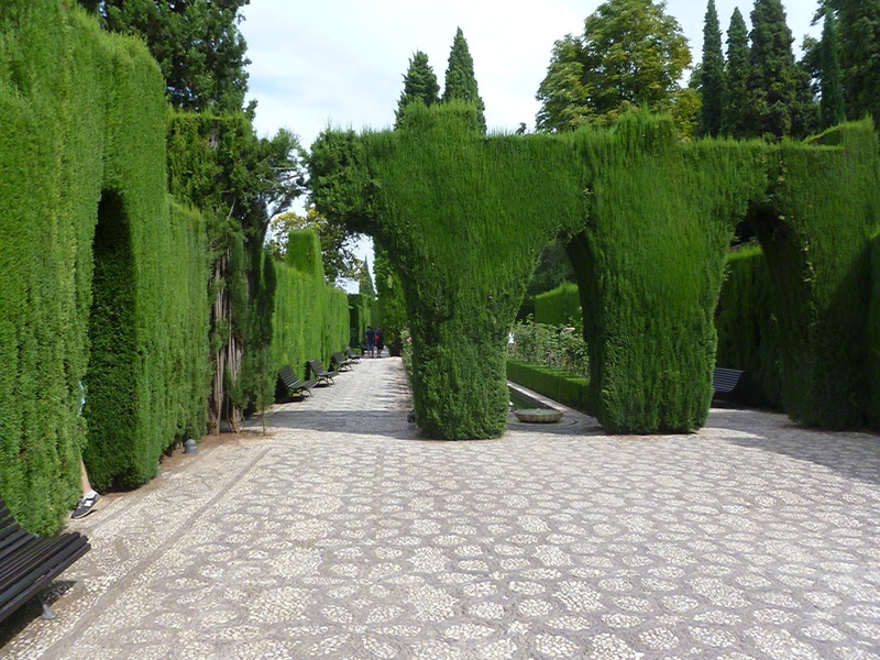 alhambra, tree, nature, spain, 1080P, treelined, sky, beauty in nature, growth, the way forward, garden path, garden, paving stone, scenics - nature, tranquility