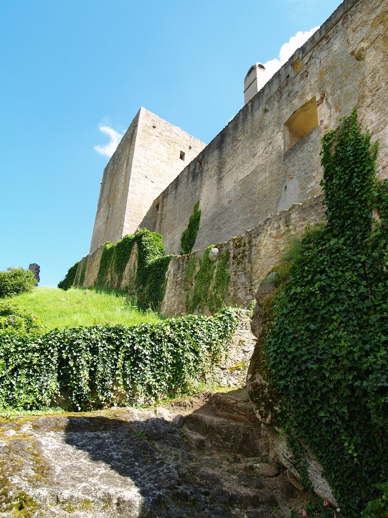 growth, architecture, fort, outdoors, clear sky, romanesque style, building exterior, plant, sky, 2K, monument, the past, no people, built structure, hedge