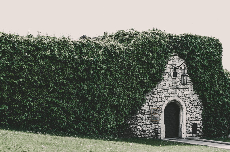 bush, flora, built structure, arch, lantern, green grass, rock, tree, architecture, day, architectural, park, history, doorway, summer, building exterior