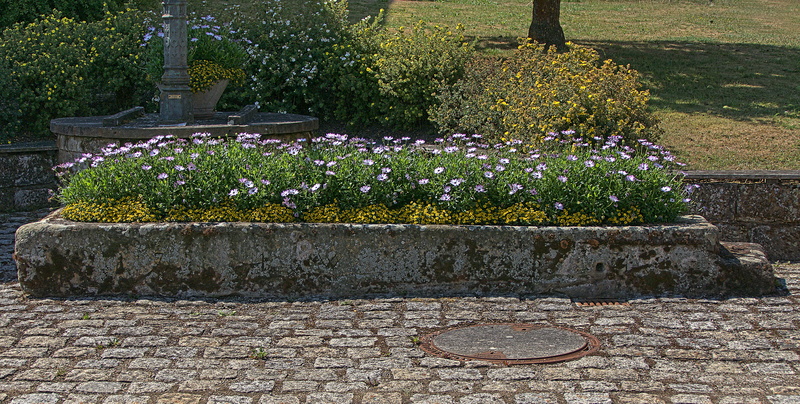 architecture, wall, fountain, livestock watering, paving stone, park, patch, outdoors, flowering plant, ornamental garden, no people, solid, village view