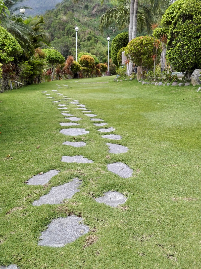 park - man made space, stone - object, no people, direction, park, nature, day, outdoors, plant, stepping stone, garden path, growth, ornamental garden