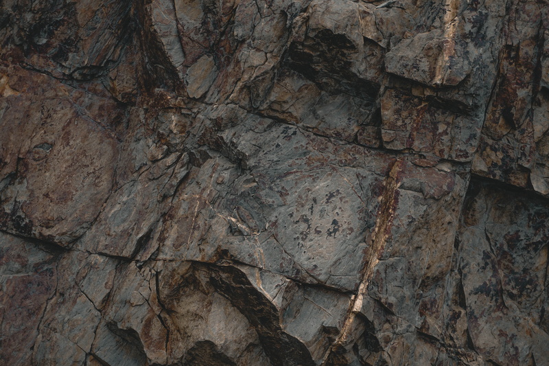 solid, plant, rock, rock - object, tree, tree trunk, nature, soil, day, close-up, slate, water, backgrounds, tower, trunk, no people, mesa, natural pattern
