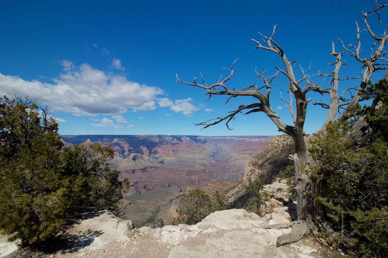 5K, mesa, growth, tree, sunset, cloud - sky, landscape, nature, scenics - nature, canyon, ground, wilderness, mountain, scenery, sand, non-urban scene