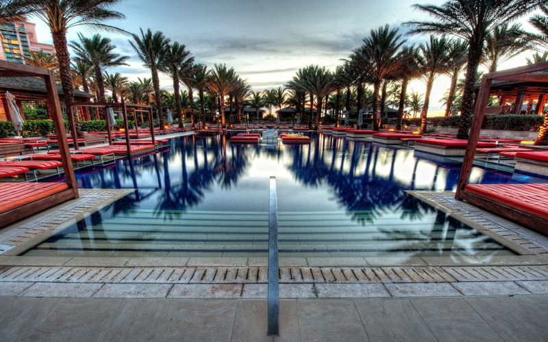 swimming pool, 2K, palm trees, reflection, sky