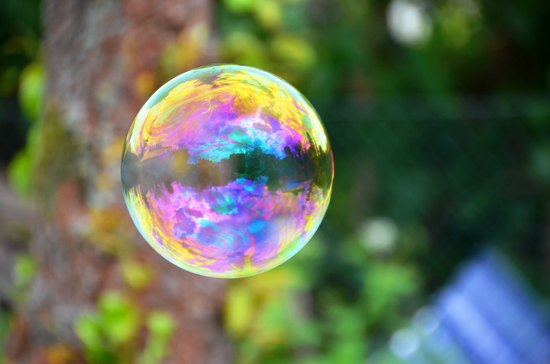 reflection, photography, shape, 2K, focus, selective focus, vulnerability, soap sud, spectrum, tree, geometric shape, no people, bubble wand, soap bubble