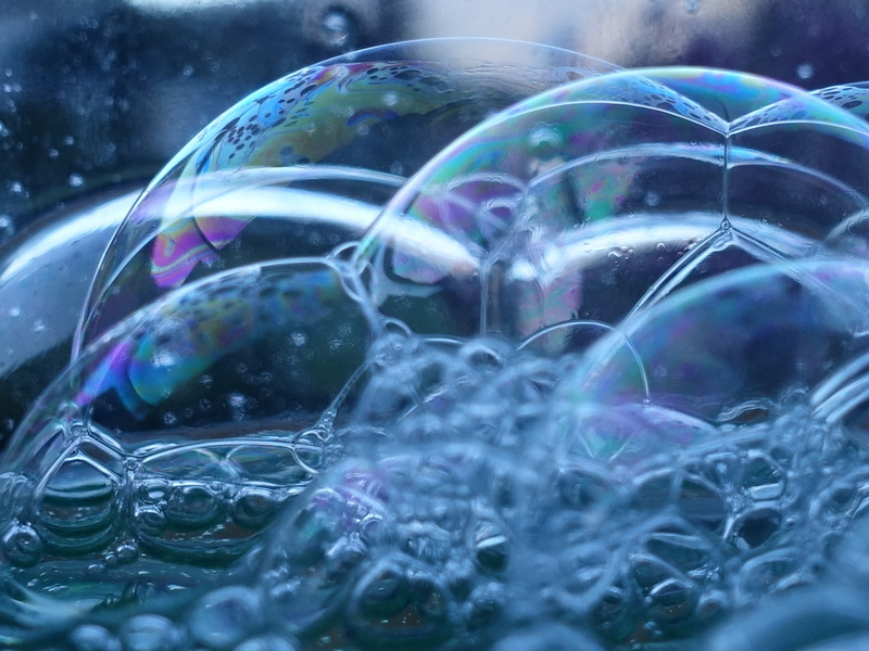 close-up, macro, turtle, purple, design, sea life, nature, water, texture, shape, animal, soap, no people, colours, abstract, close up, selective focus