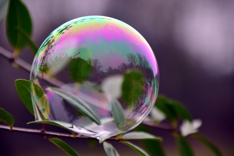 ball, bubble, 5K, selective focus, sphere, selective, plant, depend, Iridescent, purple, vulnerability, no people, shape, outdoors, shiny, beautiful, fragility