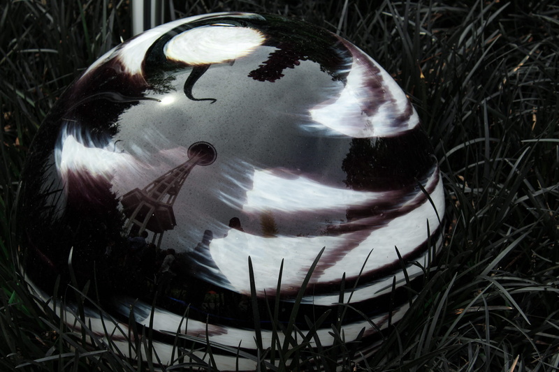 helmet, reflection, water, crash helmet, sphere, ball, clothing, space needle, day, marine, seattle, human, animal wildlife, person, nature, one animal