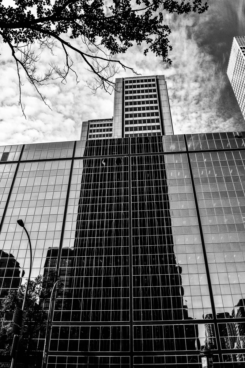 skyscraper, office, office building exterior, canada, tall - high, cloud - sky, plant, nature, built structure, reflexion, blackandwhite, mirror, tower