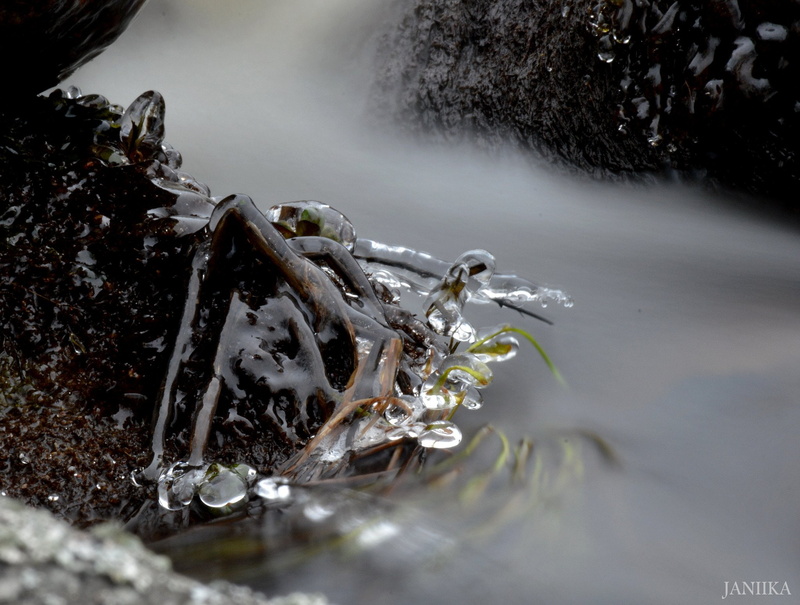 reflexions, macro, art, nature, water, winter, textures, 1080P, frozen, ice, sculptures