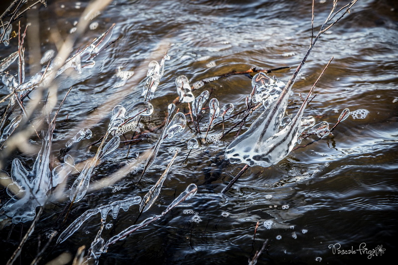 nature, sculptures, 1080P, reflexions, winter, macro, art, ice, frozen, textures, water